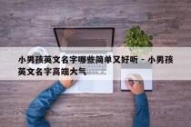 小男孩英文名字哪些简单又好听 - 小男孩英文名字高端大气