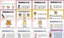 给狗狗起名字大全洋气英文 - 给狗狗起名字大全