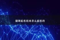 猫咪起名姓肖怎么起名的 - 给猫起名是什么生肖