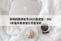 好听的男孩名字2023兔宝宝 - 2023年兔年男宝宝几月出生好