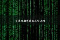 牛宝宝取名黄文艺可以吗 - 牛宝宝取名字姓黄