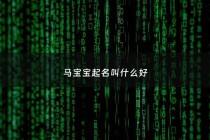 马宝宝起名叫什么好 - 马宝宝起名大全男孩排行榜