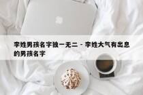 李姓男孩名字独一无二 - 李姓大气有出息的男孩名字