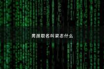 男孩取名叫梁志什么 - 男孩取名叫梁志什么寓意