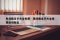 男孩取名字大全免费 - 男孩取名字大全免费自动取名