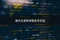 陶氏兄弟如何取名字女孩 - 陶氏姓名大全男孩