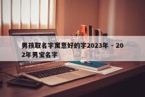 男孩取名字寓意好的字2023年 - 202年男宝名字