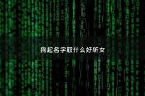 狗起名字取什么好听女 - 狗狗取名女