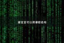 猪宝宝可以用谦取名吗 - 给猪宝宝起名字大全2019