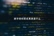 朗字商标取名寓意是什么 - 朗字的名字有哪些