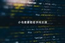 小鸟需要取名字吗女孩 - 小鸟适合取什么名字