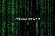 向姓取名忌讳什么字母 - 向姓取名字大全女孩