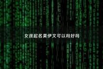 女孩起名莫伊文可以吗好吗 - 莫伊英文名怎么写
