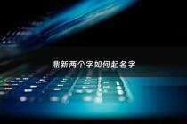 鼎新两个字如何起名字 - 鼎新的成语有哪些成语大全
