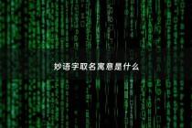 妙语字取名寓意是什么 - 妙语的意思是什么意思是什么意思