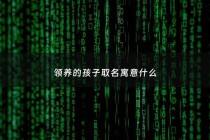 领养的孩子取名寓意什么 - 领养的孩子起什么名字