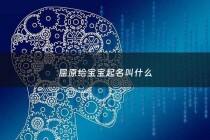 屈原给宝宝起名叫什么 - 屈原的名字有什么含义
