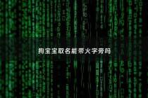 狗宝宝取名能带火字旁吗 - 狗宝宝取名不能带日子吗