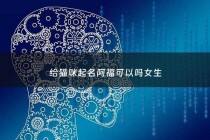 给猫咪起名阿福可以吗女生 - 猫咪取名来福