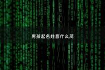 男孩起名姓晋什么茂 - 姓晋的男孩取什么名字好