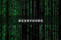 猴宝宝栋字如何取名 - 栋字取名男孩霸气