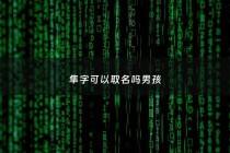 隼字可以取名吗男孩 - 隼字起名