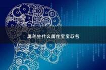 属羊生什么属性宝宝取名 - 属羊生什么宝宝好