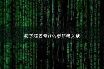 旋字起名有什么忌讳吗女孩 - 旋这个名字代表什么含意