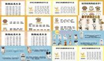 狗狗名字大全 洋气点的 - 狗狗名字