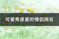网名背后的情感与个性：探索“爱你”网名的深层含义