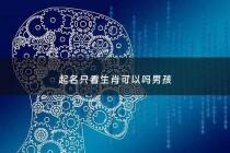 起名只看生肖可以吗男孩 - 起名字看生肖还是看五格数理