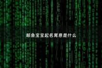 鲸鱼宝宝起名寓意是什么 - 鲸鱼好听名字