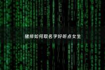 猪排如何取名字好听点女生 - 猪排叫什么名称好