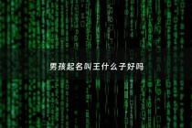 男孩起名叫王什么子好吗 - 王字男孩取名宝典