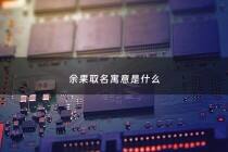 余果取名寓意是什么 - 余果果的名字好吗