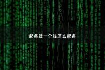 起名就一个姓怎么起名 - 取一个姓名