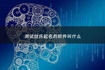 测试姓氏起名的软件叫什么 - 测试姓氏起名的软件叫什么名字