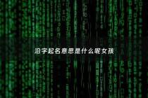 沿字起名意思是什么呢女孩 - 沿这个字念什么