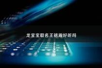 龙宝宝取名王铭瀚好听吗 - 王铭豪这个名字的寓意