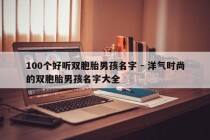 100个好听双胞胎男孩名字 - 洋气时尚的双胞胎男孩名字大全