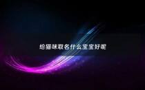 给猫咪取名什么宝宝好呢 - 给猫起名字起什么好