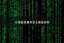 小孩起名雅号怎么取名好听 - 孩子的雅号