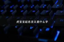 虎宝宝起名含义是什么字 - 虎宝宝起名含义是什么字好听