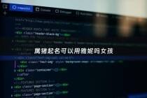 属猪起名可以用雅妮吗女孩 - 猪取名宜用字女