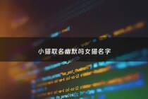 小猫取名幽默吗女猫名字 - 小猫起名女猫