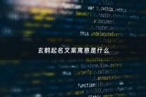 玄鹤起名文案寓意是什么 - 玄鹤吉祥吗