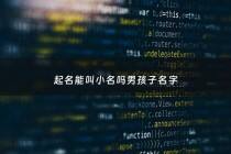 起名能叫小名吗男孩子名字 - 起名能叫小名吗男孩子名字大全