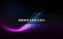 属猪取名文轩好么吗女 - 属猪后面带轩字的男孩名字