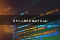 棹字可以起名吗男孩子怎么取 - 棹字在姓名学中的意思