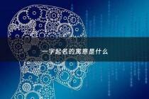 一字起名的寓意是什么 - 一字起名寓意好吗